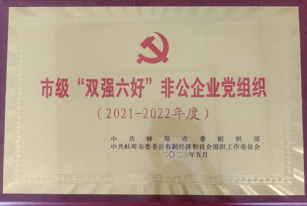 喜報！中共安徽盛世新能源材料科技有限公司支部委員會榮獲蚌埠市“雙強六好”非公企業黨組織榮譽稱號